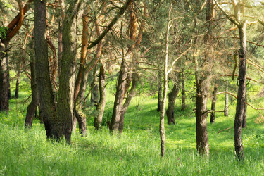 Similar image 1395084