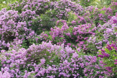 Similar image 1395097