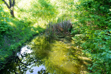 Similar image 1395108