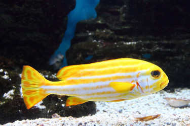 Similar image 1395122