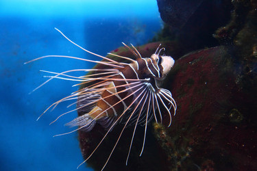 Similar image 1395126