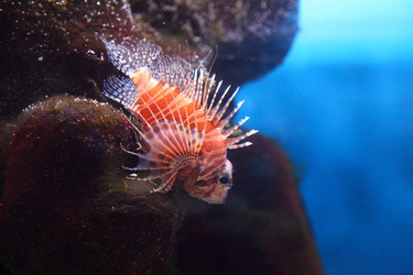 Similar image 1395127