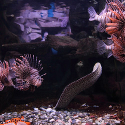 Similar image 1395130