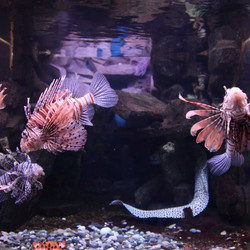 Similar image 1395139