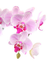 Similar image 1395167