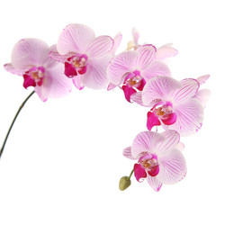 Similar image 1395168