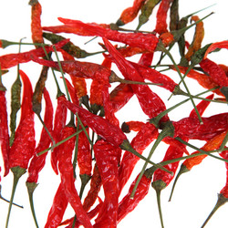 Similar image 1395173