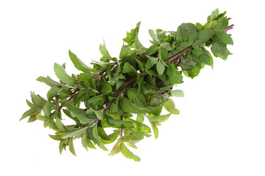 Similar image 1395174