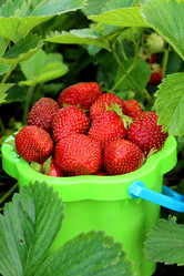 Similar image 1395219