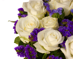 Similar image 1395244