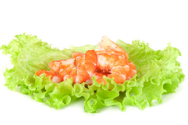 Similar image 1395303