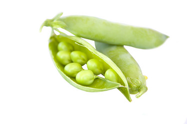 Similar image 1395341