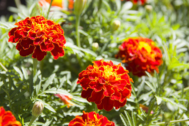 Similar image 1395342