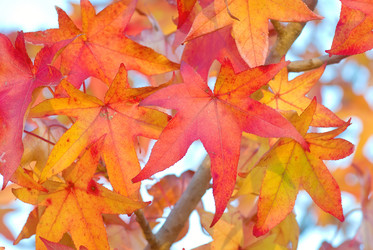 Similar image 1395402