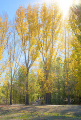 Similar image 1395403