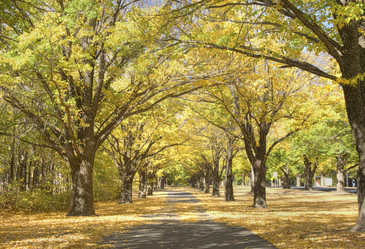 Similar image 1395408