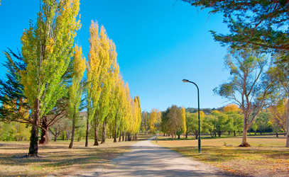 Similar image 1395411