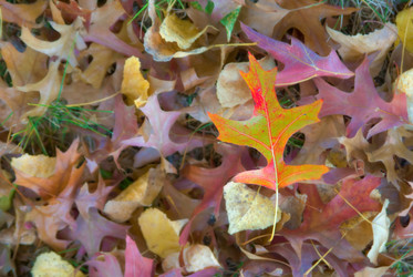 Similar image 1395415