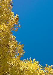 Similar image 1395417