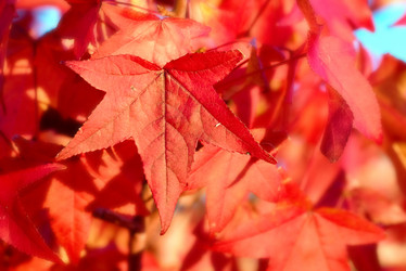 Similar image 1395419