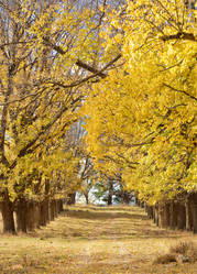 Similar image 1395449