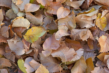 Similar image 1395458