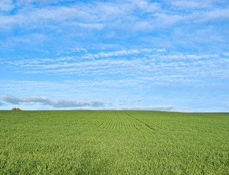 Similar image 1395466