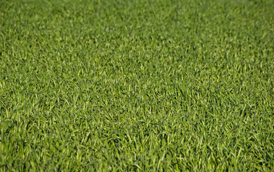 Similar image 1395468