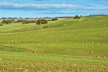 Similar image 1395479