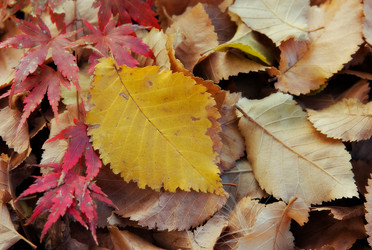 Similar image 1395481