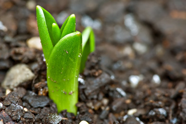 Similar image 1395488