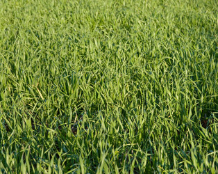 Similar image 1395501