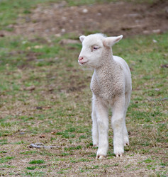 Similar image 1395518