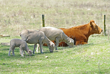 Similar image 1395526