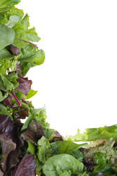 Similar image 1395539