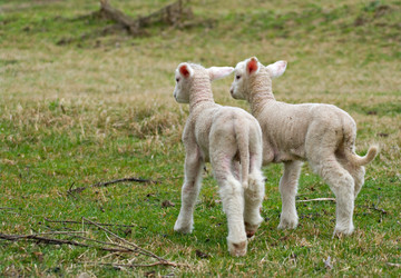 Similar image 1395543