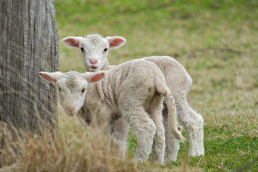 Similar image 1395545