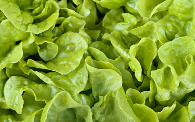 Similar image 1395556