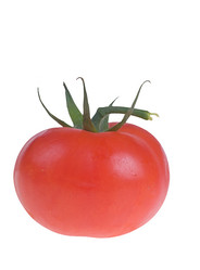 Similar image 1395558