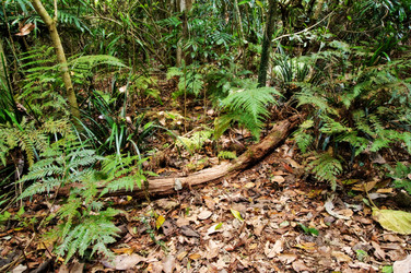 Similar image 1395560