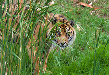 Similar image 1395591