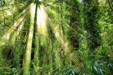 Similar image 1395592