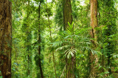 Similar image 1395610