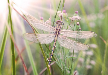 Similar image 1395623