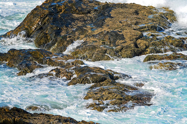 Similar image 1395639