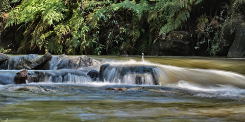 Similar image 1395646