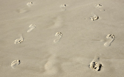 Similar image 1395753