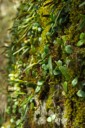 Similar image 1395760