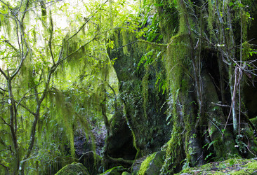 Similar image 1395768