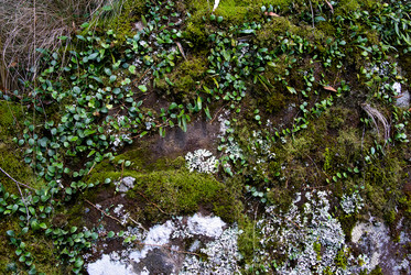 Similar image 1395776